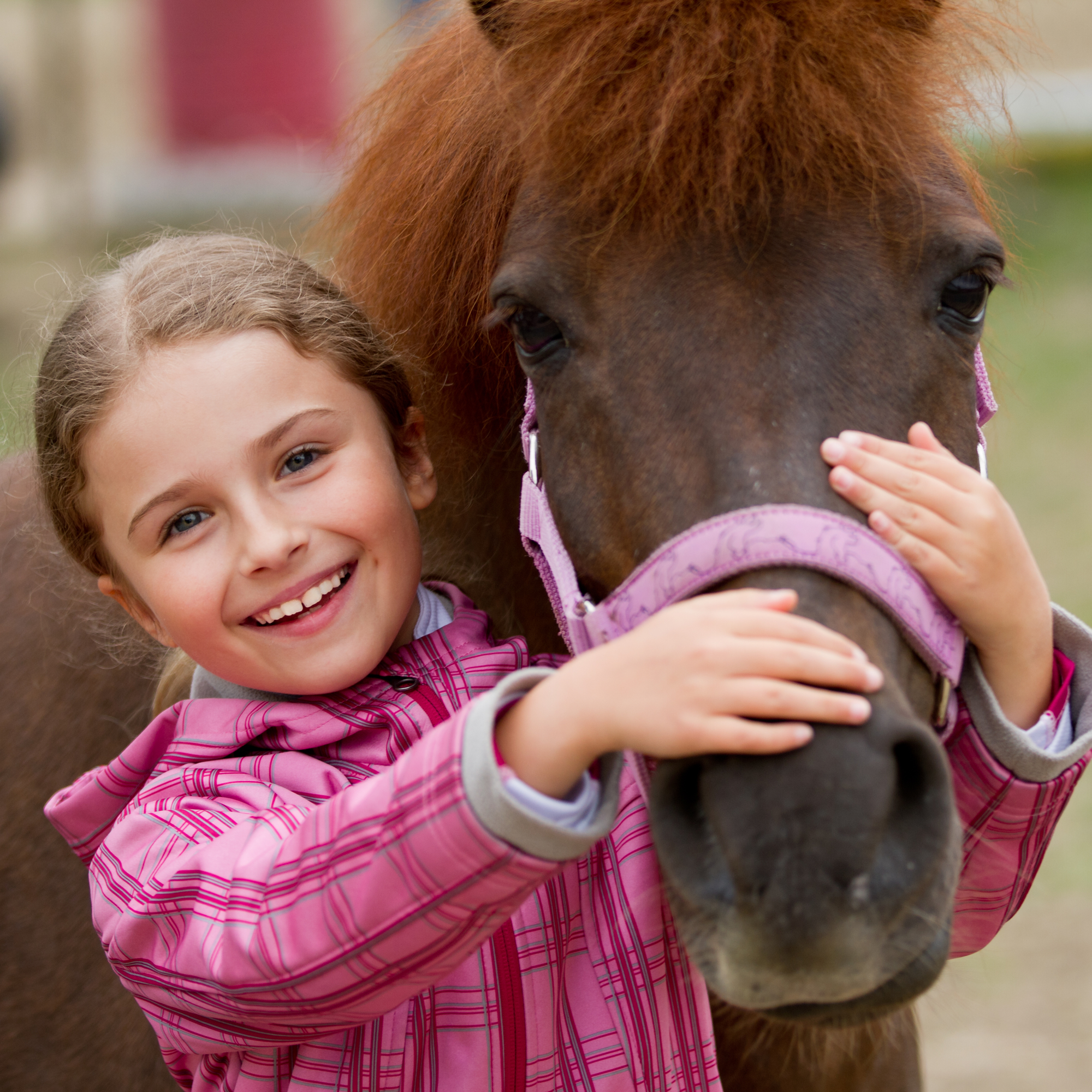 Hest og barn